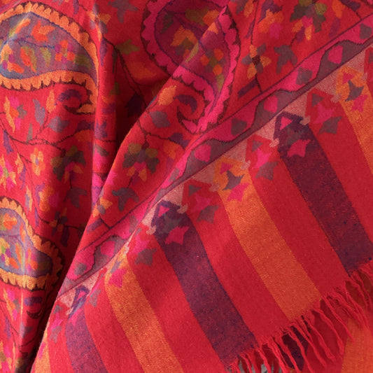 Zarif Kaani Pashmina